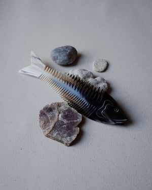 Fish Comb 002